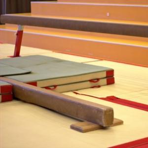 Sportbh gymnastiek – BHSupport: sportbh die steun en bewegingsvrijheid biedt bij gymnastiek.