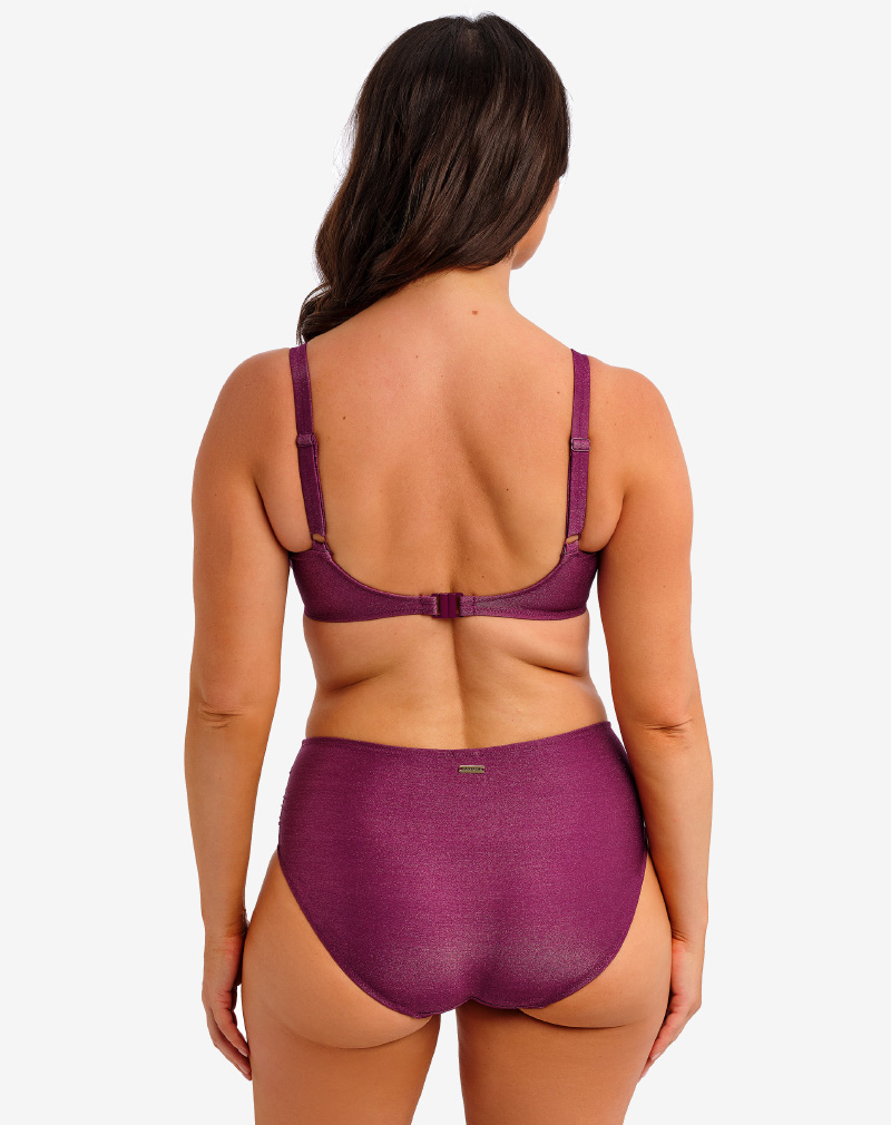 Fantasie Paros Coast bikinibroekje hoge taille bordeaux glans